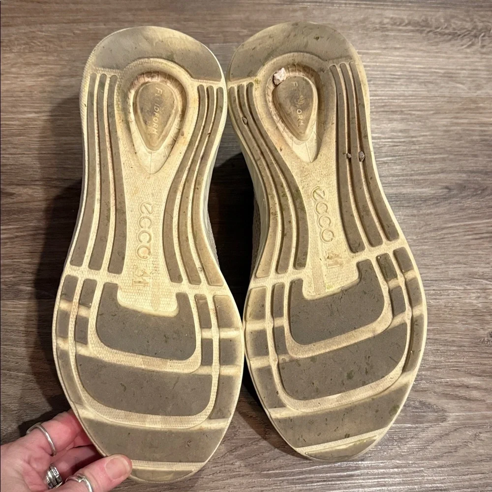 Ecco here pair